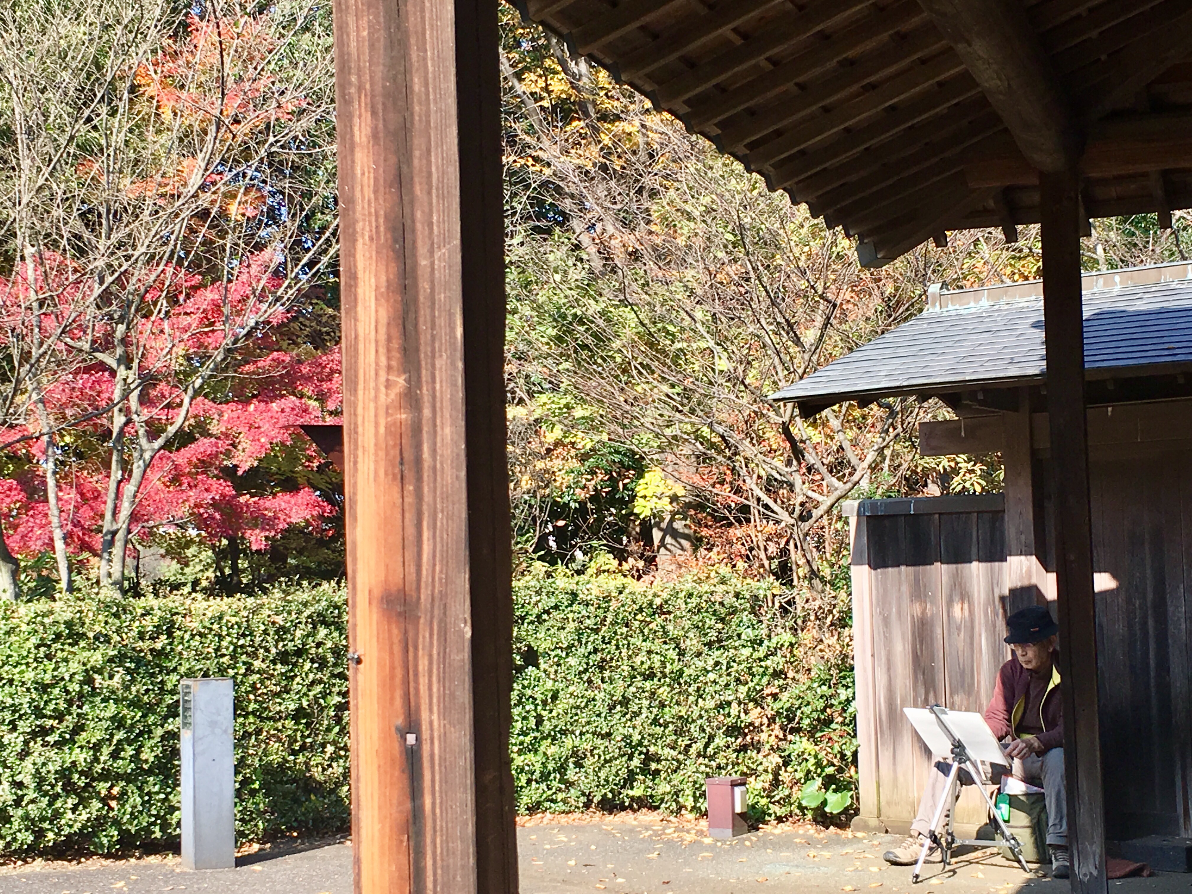 旧富澤家の回遊式日本庭園で紅葉が綺麗