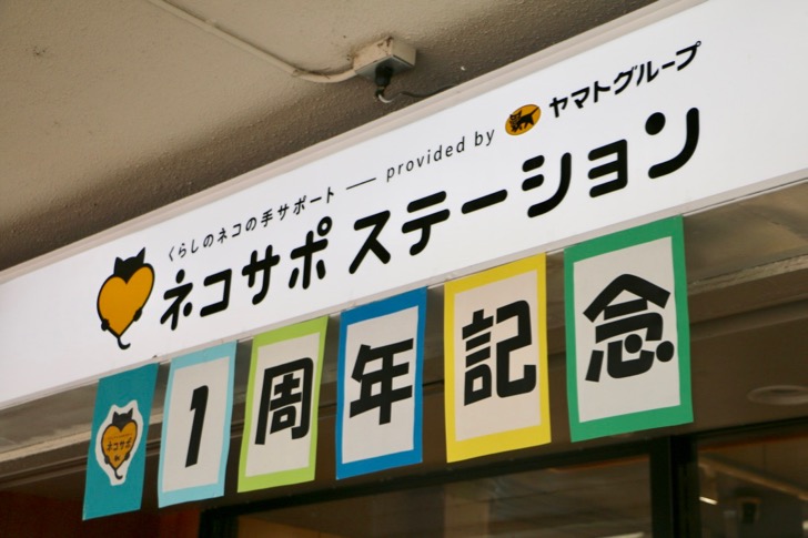 ネコサポステーション1周年