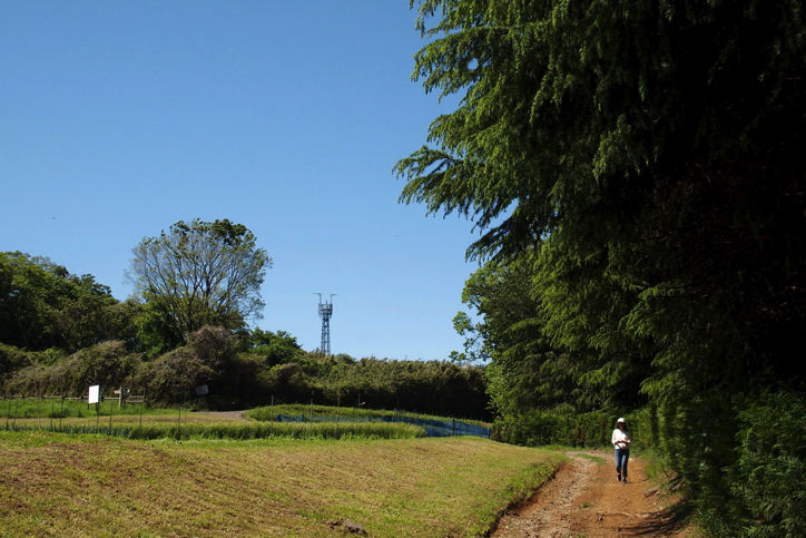 小山田緑地