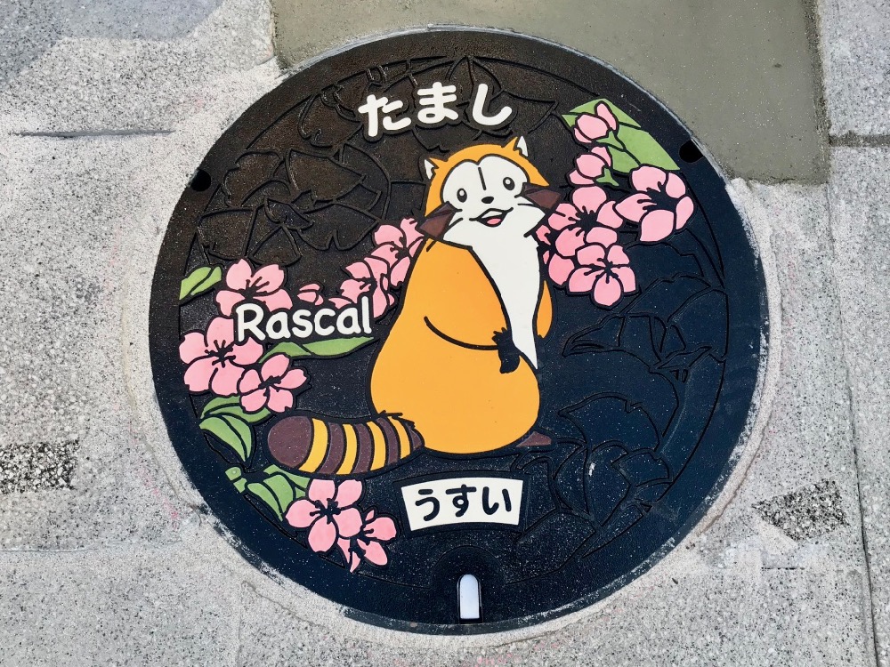 ラスカルマンホールうすい