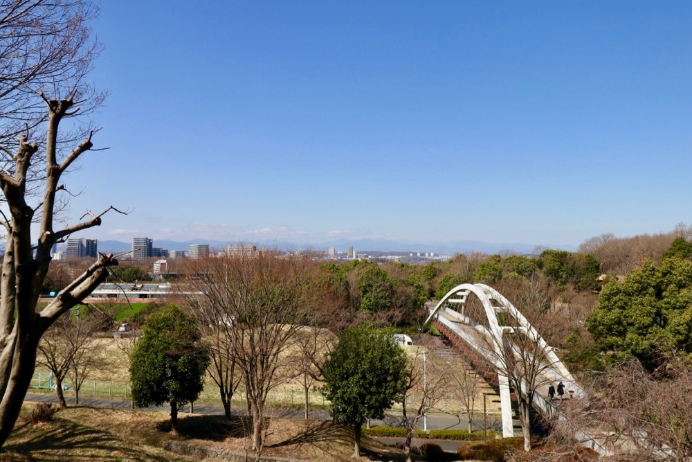 弓の橋