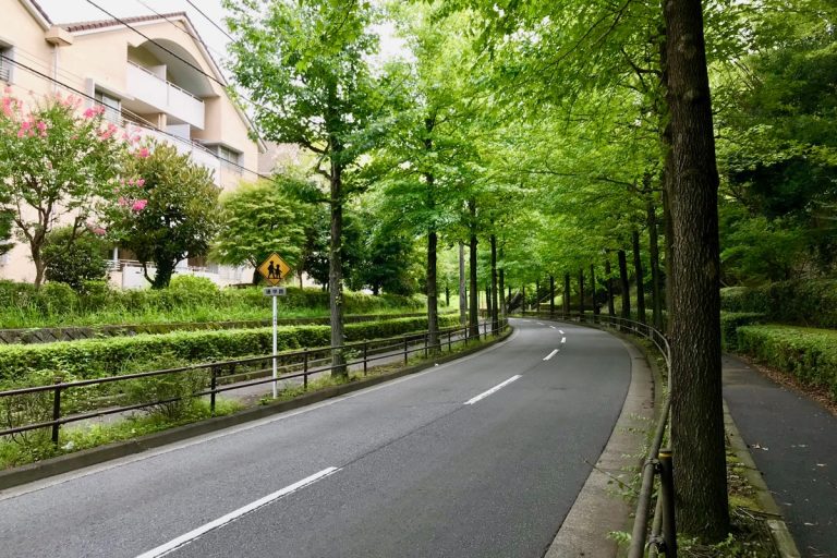 多摩自転車レース コース 八王子