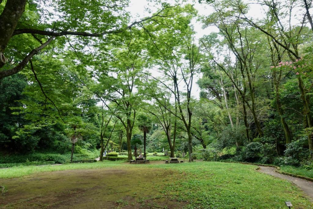 町田市の芹ヶ谷公園に設置された ポケふた がポケストップ化してました 多摩ポン