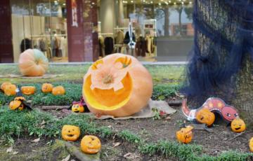 パルテノン大通りにハロウィンかぼちゃの飾り付けがありました 多摩ポン