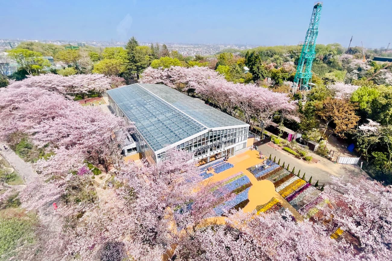 エンタメ植物園「HANA BIYORI(はなびより)」オープン日は3月14日