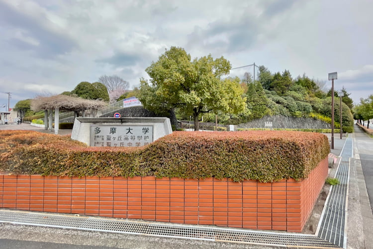 多摩大学