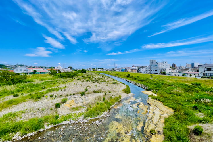 浅川の風景