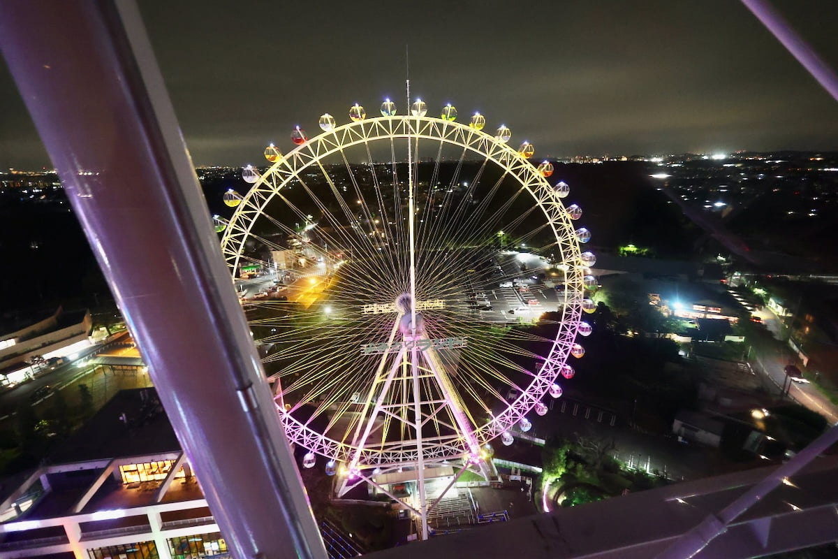 「Sky-Go-LAND(スカイゴーランド)」からの大観覧車