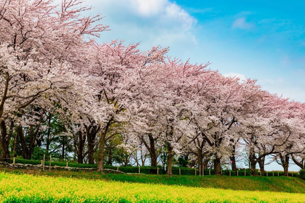 尾根緑道