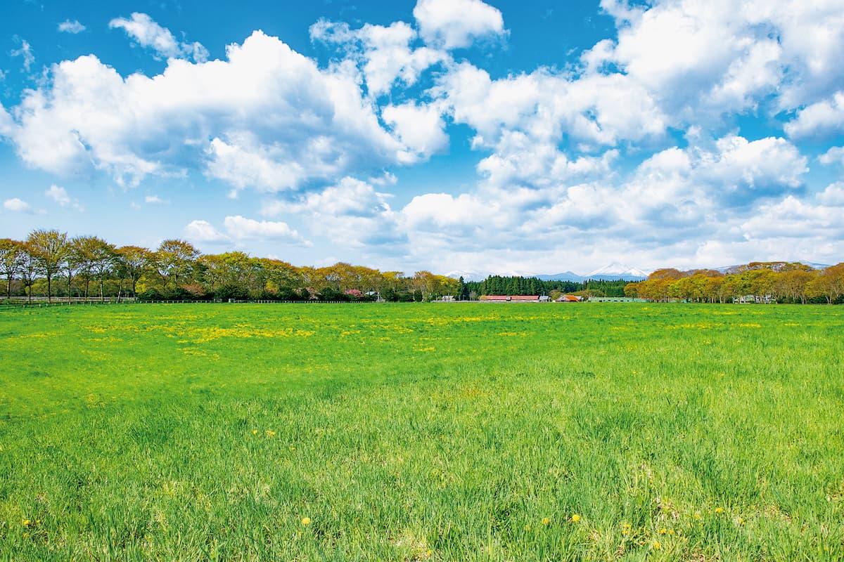 ホテル直営農場「東北牧場」