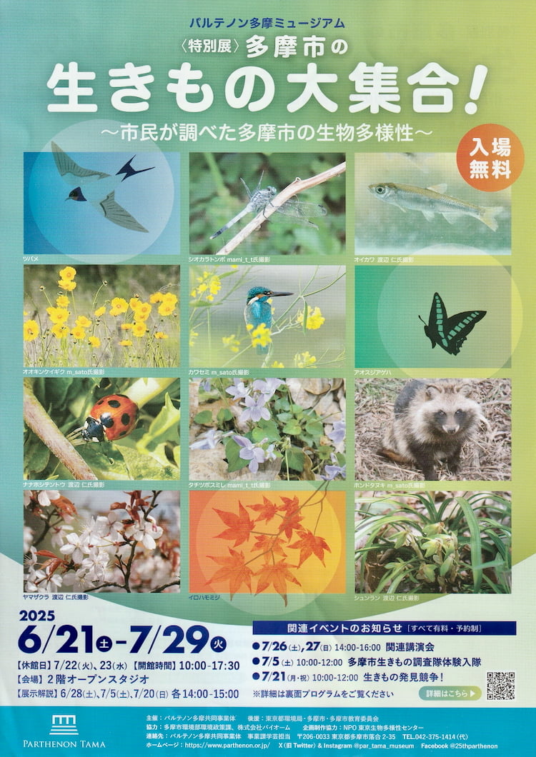 パルテノン多摩で特別展「多摩市の生きもの大集合!」が開催中|市民が調べた生物多様性を展示