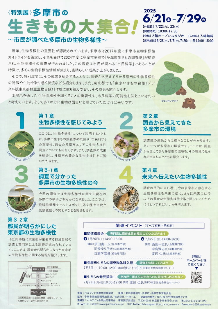 パルテノン多摩で特別展「多摩市の生きもの大集合!」が開催中|市民が調べた生物多様性を展示
