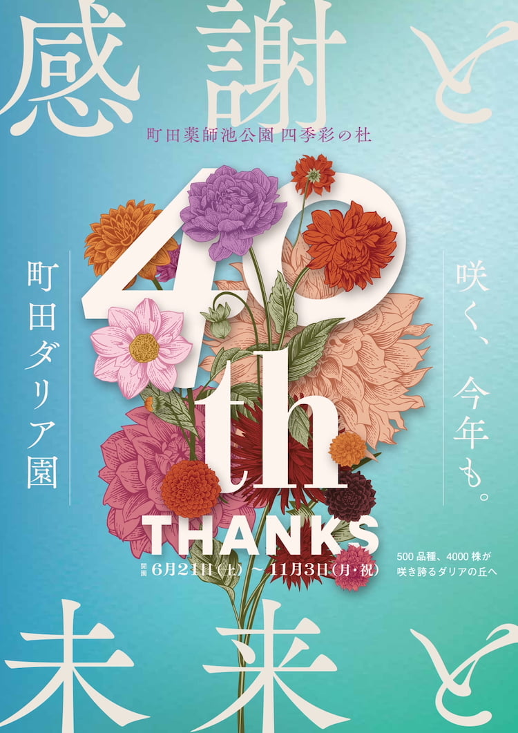 町田ダリア園は今年40周年！6月21日(土)の開園式は入場無料に