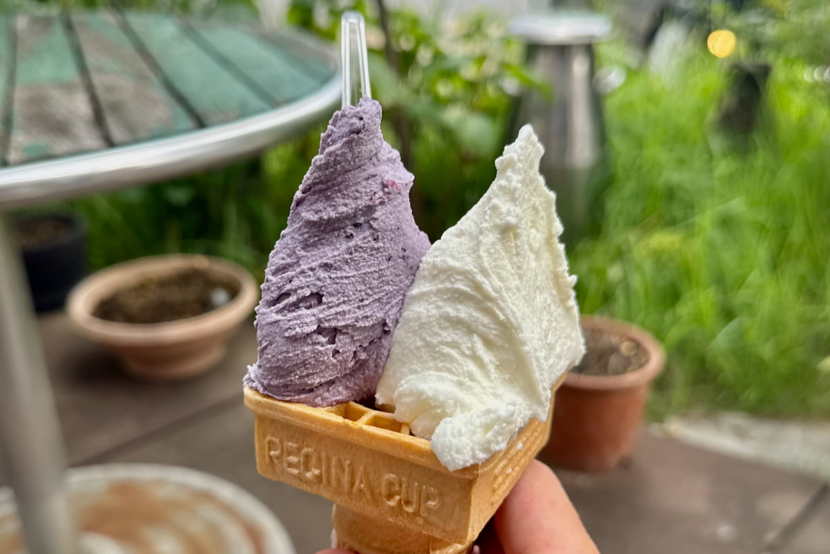 写真はブルーベリーとミルク
