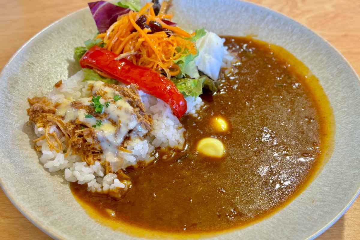 44APARTMENT多摩センター店のプルドチキンカレー