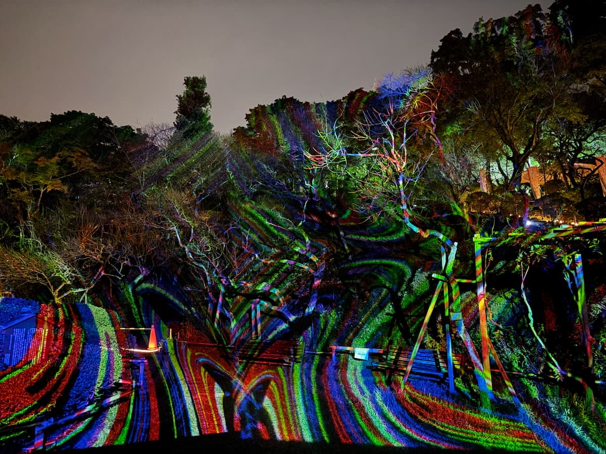 京王百草園プロジェクションマッピング「デジタル掛け軸」