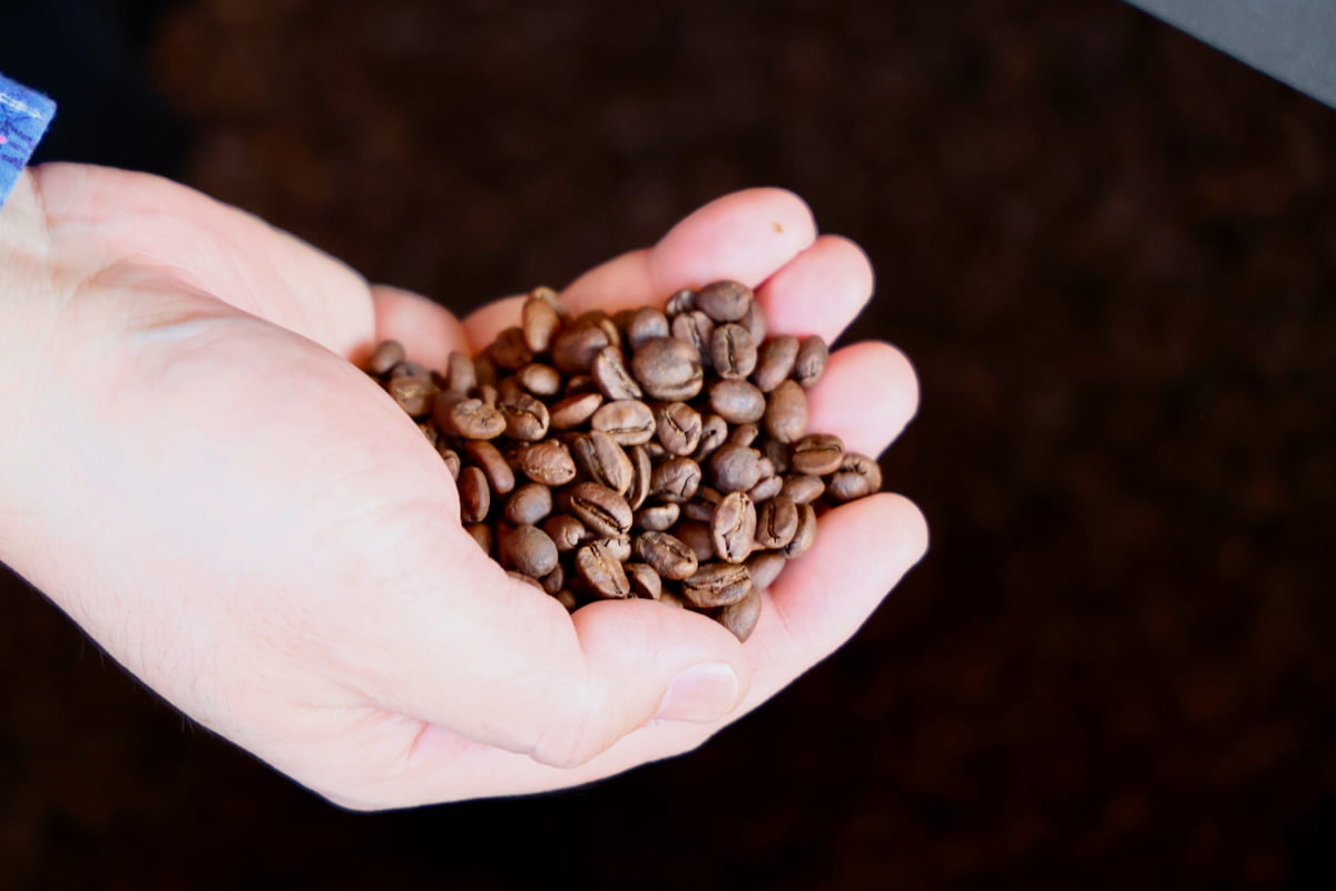 電気式コーヒー焙煎機「Shop Roaster」とオーナーのYutakaさん