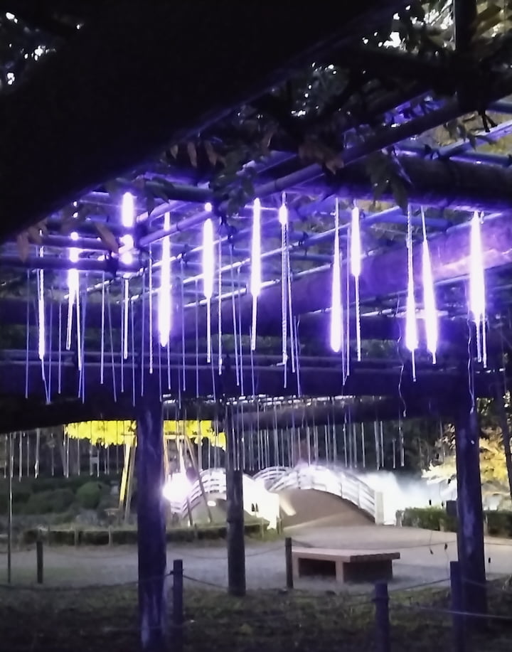 藤棚にLED電球でフジの花を再現