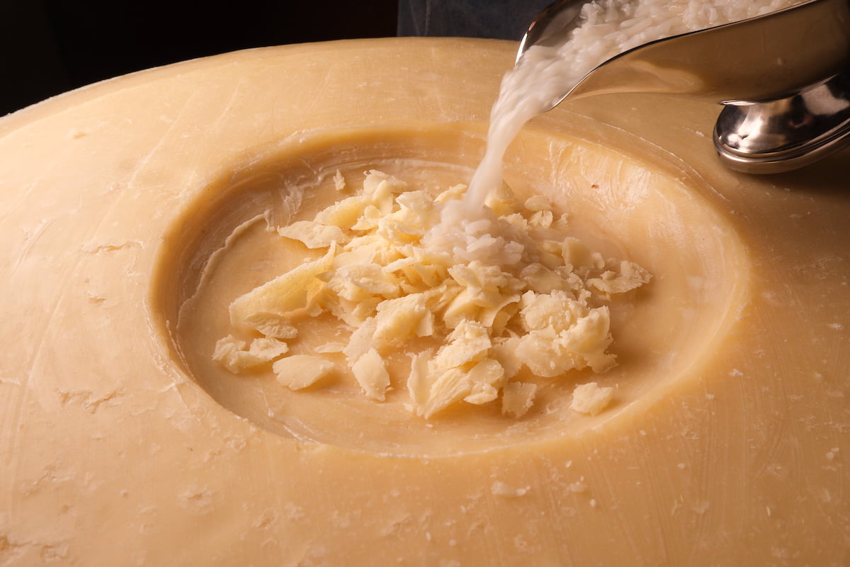 パルミジャーノチーズのリゾット