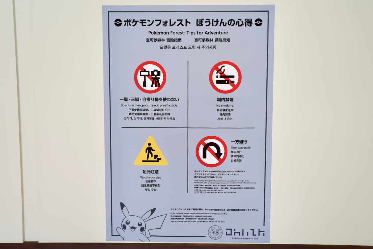 「ポケモンフォレスト」ぼうけんの心得