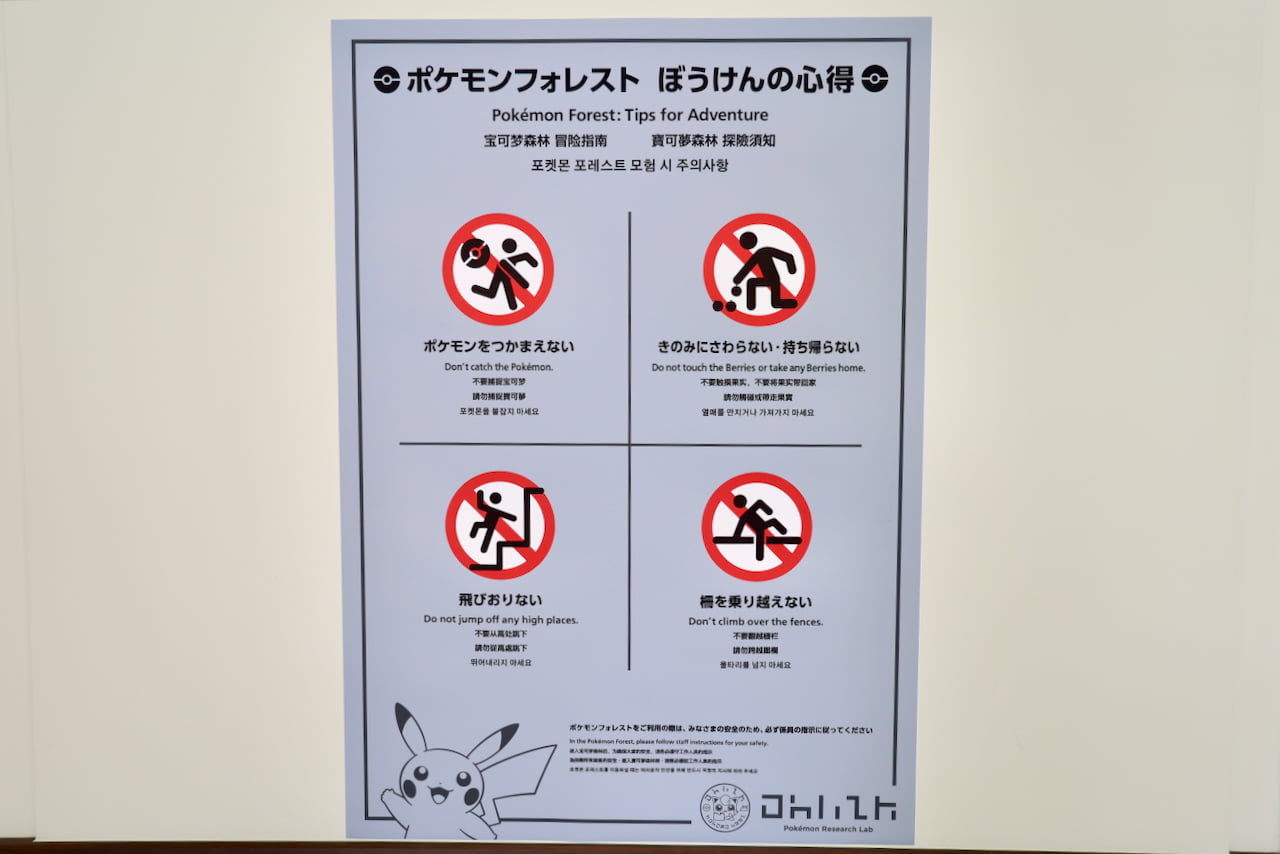 「ポケモンフォレスト」ぼうけんの心得