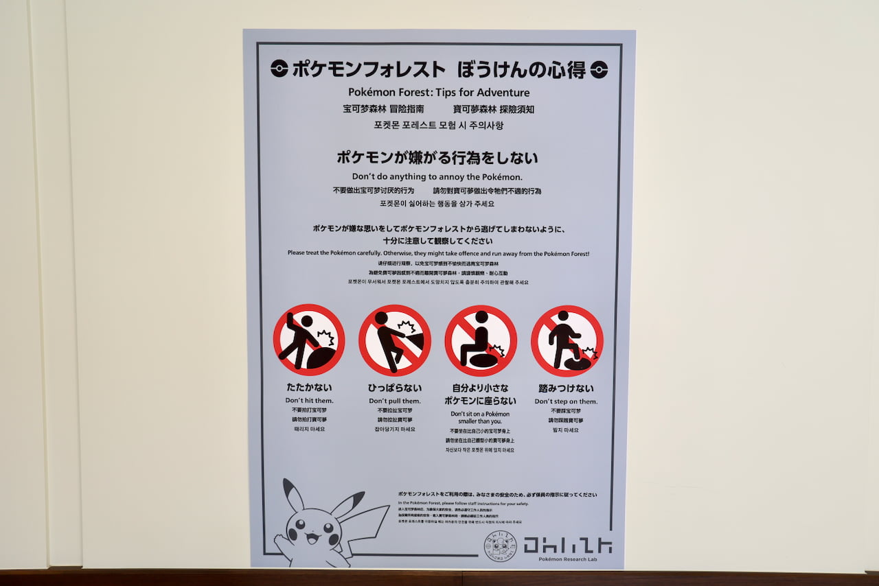 「ポケモンフォレスト」ぼうけんの心得