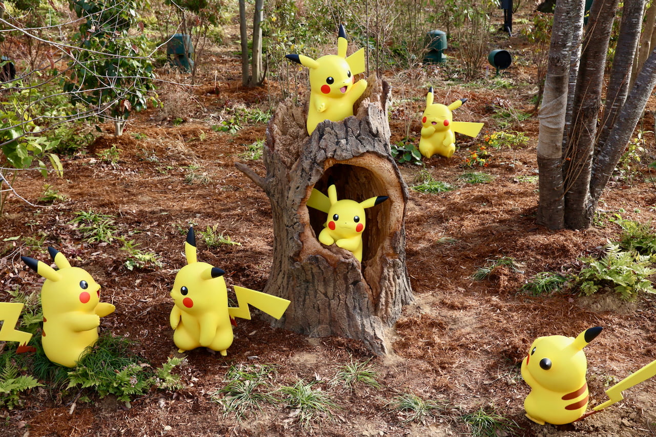 木に穴を開けてすみかにしているかわいいピカチュウ