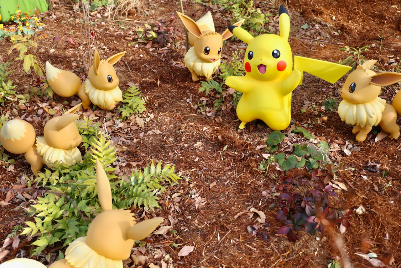 ピカチュウとイーブイのもり