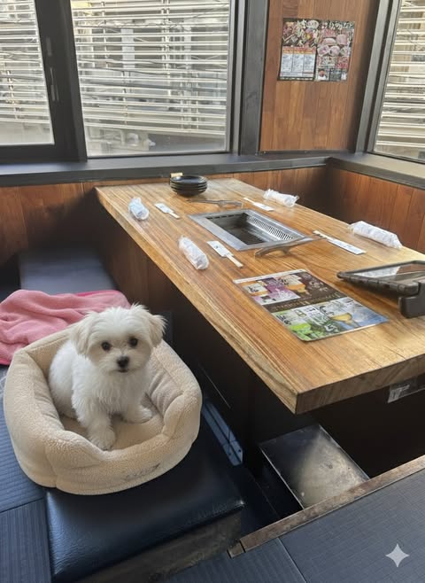 「ペットと同伴ランチ」イメージ 画像提供:焼肉しょうざえもん