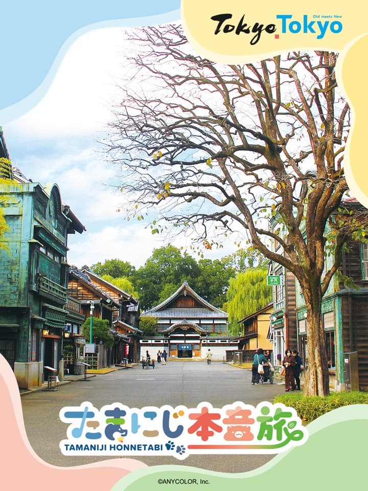 たまにじ本音旅 デジタルフォトフレーム(撮影時のイメージ)