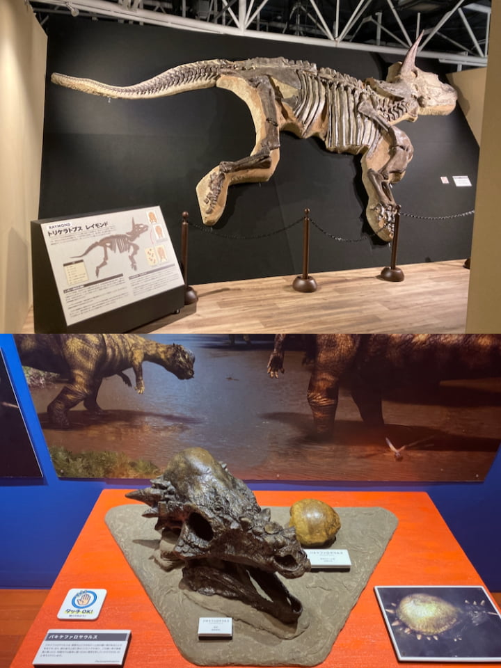 ジュラシックメイズ in よみうりランド恐竜研究所が3/20(金祝)から開催!恐竜に出会える没入型イベント