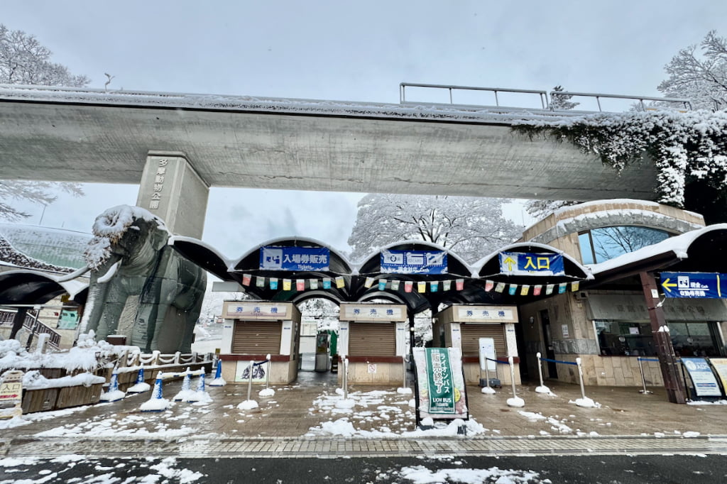 雪の日の多摩動物公園を散策。白銀の世界で出会えた風景