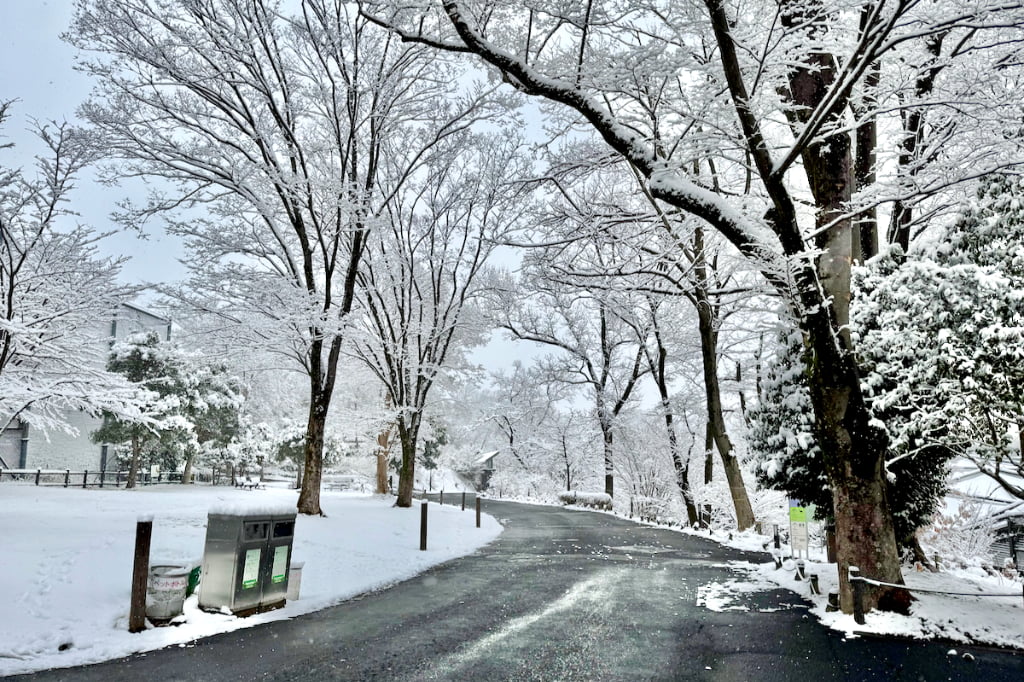 雪の日の多摩動物公園