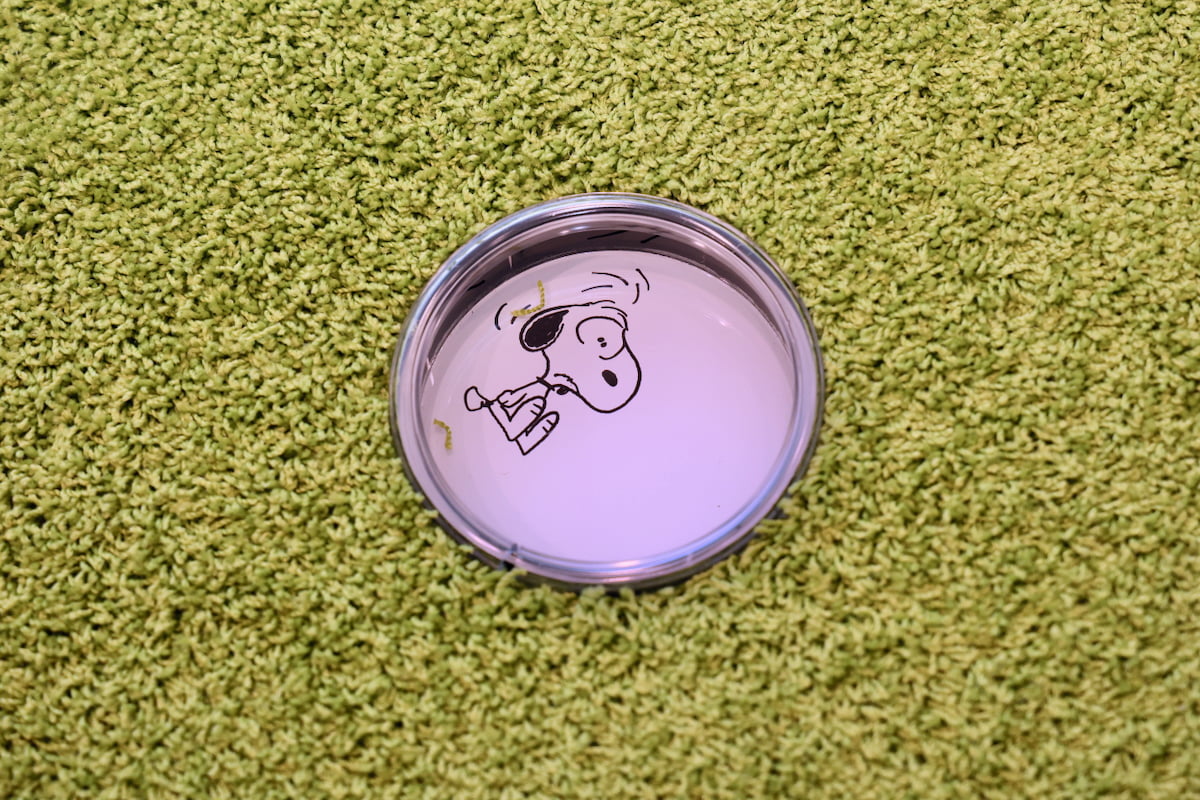 寝転んでコミックも読める「ミニふかパーク」