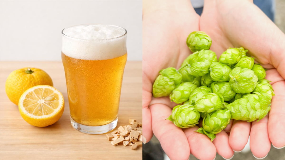 多摩の明星 (たまのみょうじょう)-2026 Spring Edition（※写真はイメージ）