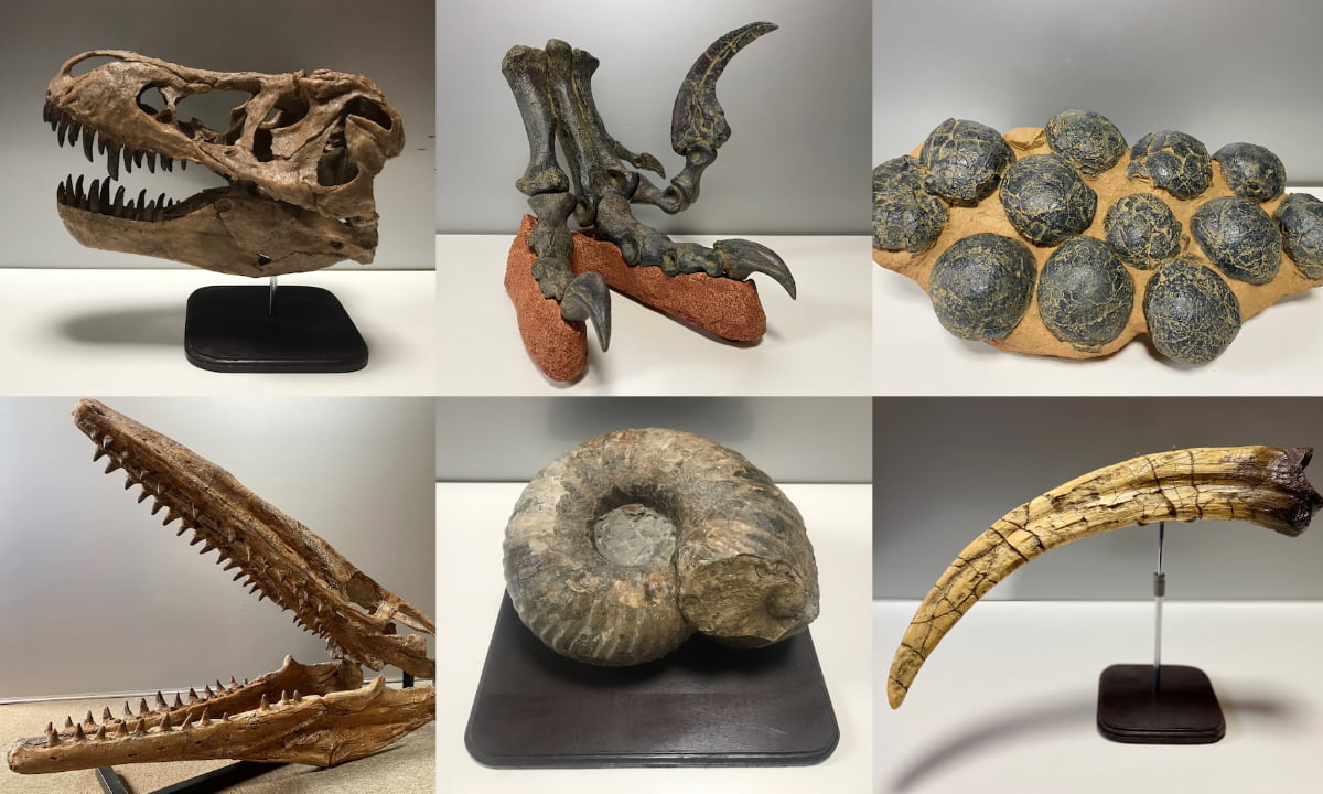 八王子「東京たま大恐竜博」GWに開催！動く実物大恐竜＆夜は「ジュラシックナイト」も