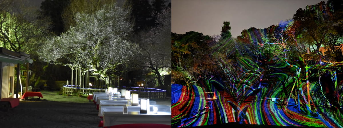 「梅まつりのライトアップ」と「紅葉まつりのデジタル掛け軸」