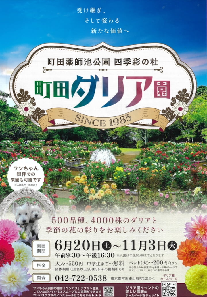 町田ダリア園が6/20(土)開園!今年から愛犬同伴OKに ブルーベリー狩りやダリアフェアも
