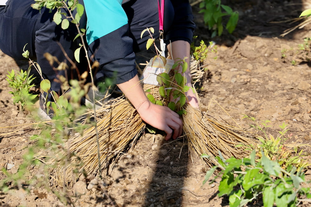 イオン八王子滝山で植樹祭開催!約1,500本を植樹、完成間近の施設も見えてきた