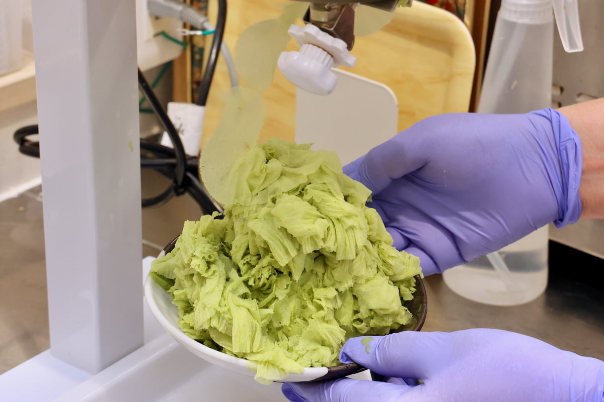 多摩センター「GenkiOyaji本舗」で「ふわとろかき氷祭り」開催中!自家製栗や発酵あんこを味わう贅沢な一杯