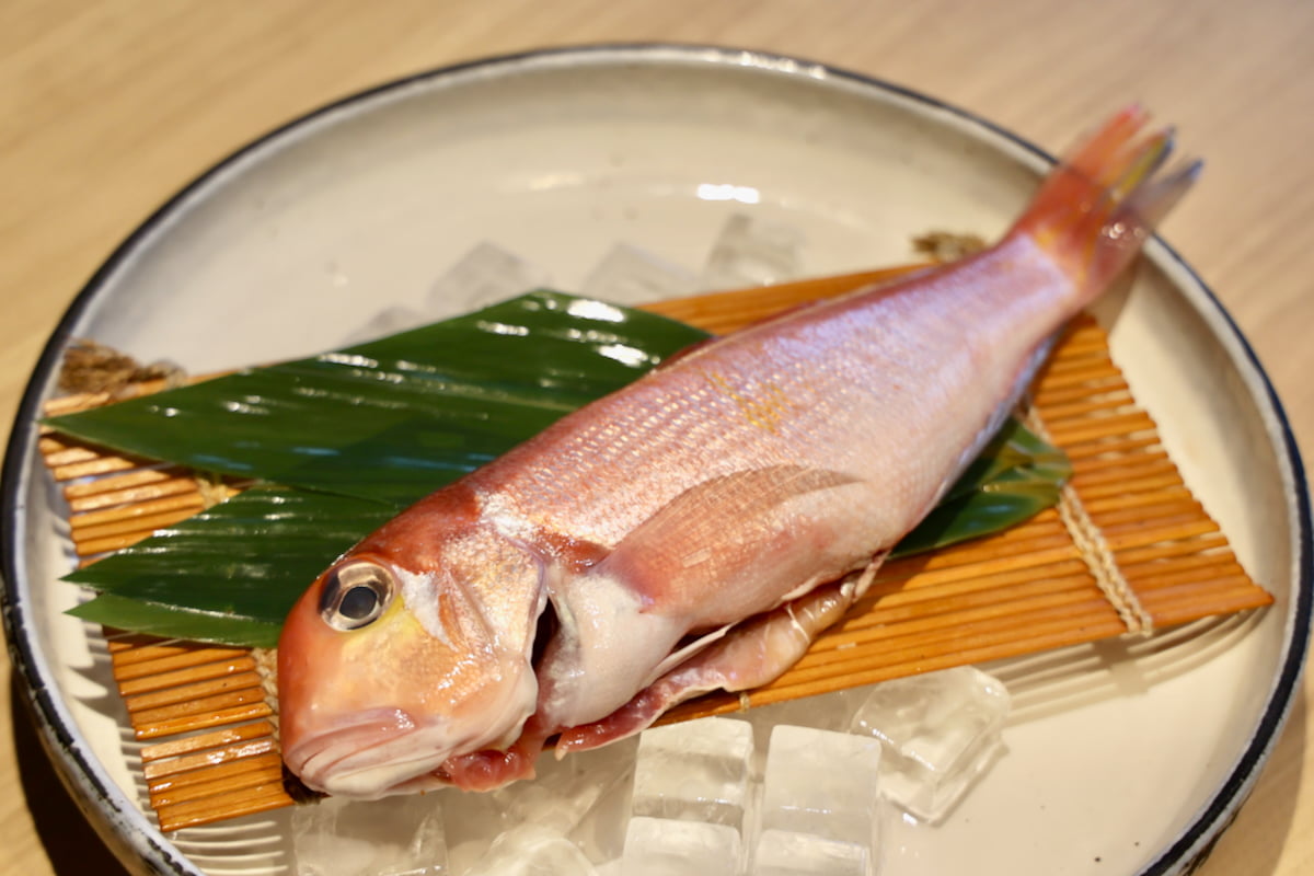 いち押し鮮魚は石川県産の「甘鯛」