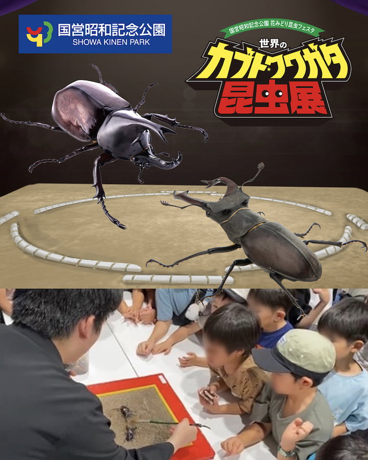 ワークショップや昆虫ミュージカルも開催*写真はイメージです。