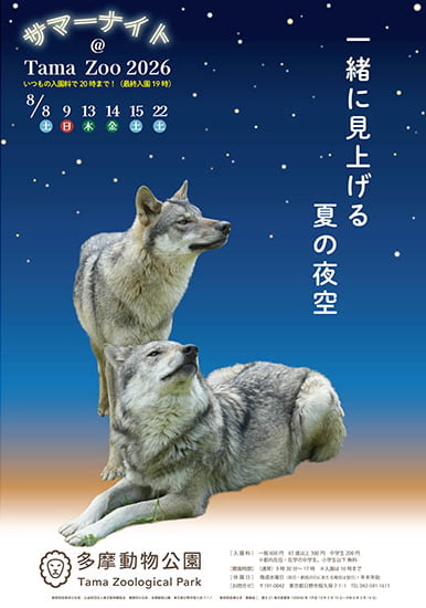 多摩動物公園で「サマーナイト@Tama Zoo 2026」開催!8月限定6日間、夜20時まで開園