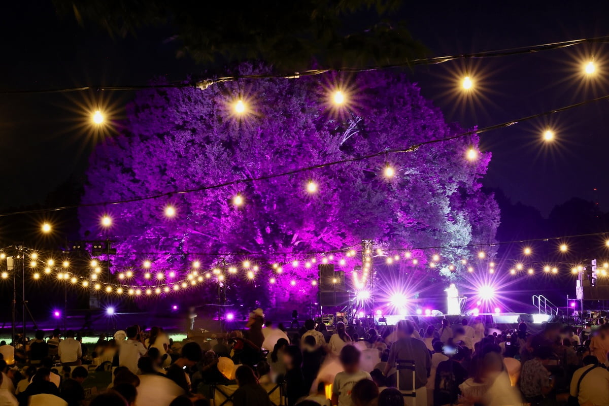 夜になると会場全体がフォトスポットに