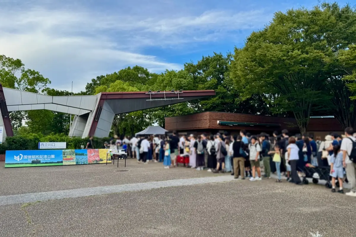 17時開場！まずは光のケヤキとキッチンカーエリアへ