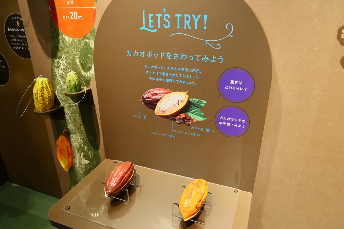 「混ぜて、触って、嗅いで」楽しめるハンズオン体験