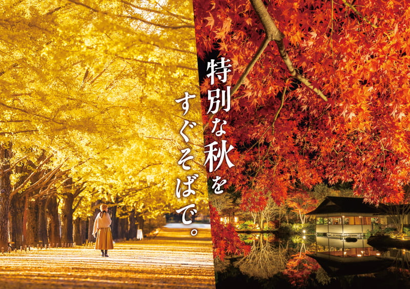 昭和記念公園の紅葉ライトアップが10/29(木)開幕!日本夜景遺産認定で日本庭園の夜間無料開放も