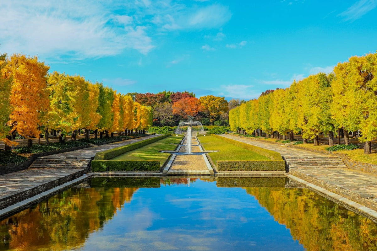 昭和記念公園の紅葉ライトアップが10/29(木)開幕!日本夜景遺産認定で日本庭園の夜間無料開放も