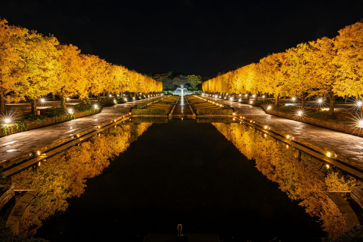「秋の夜散歩」が日本夜景遺産に認定!10/29(木)〜31(土)は日本庭園の夜間観賞券が無料に